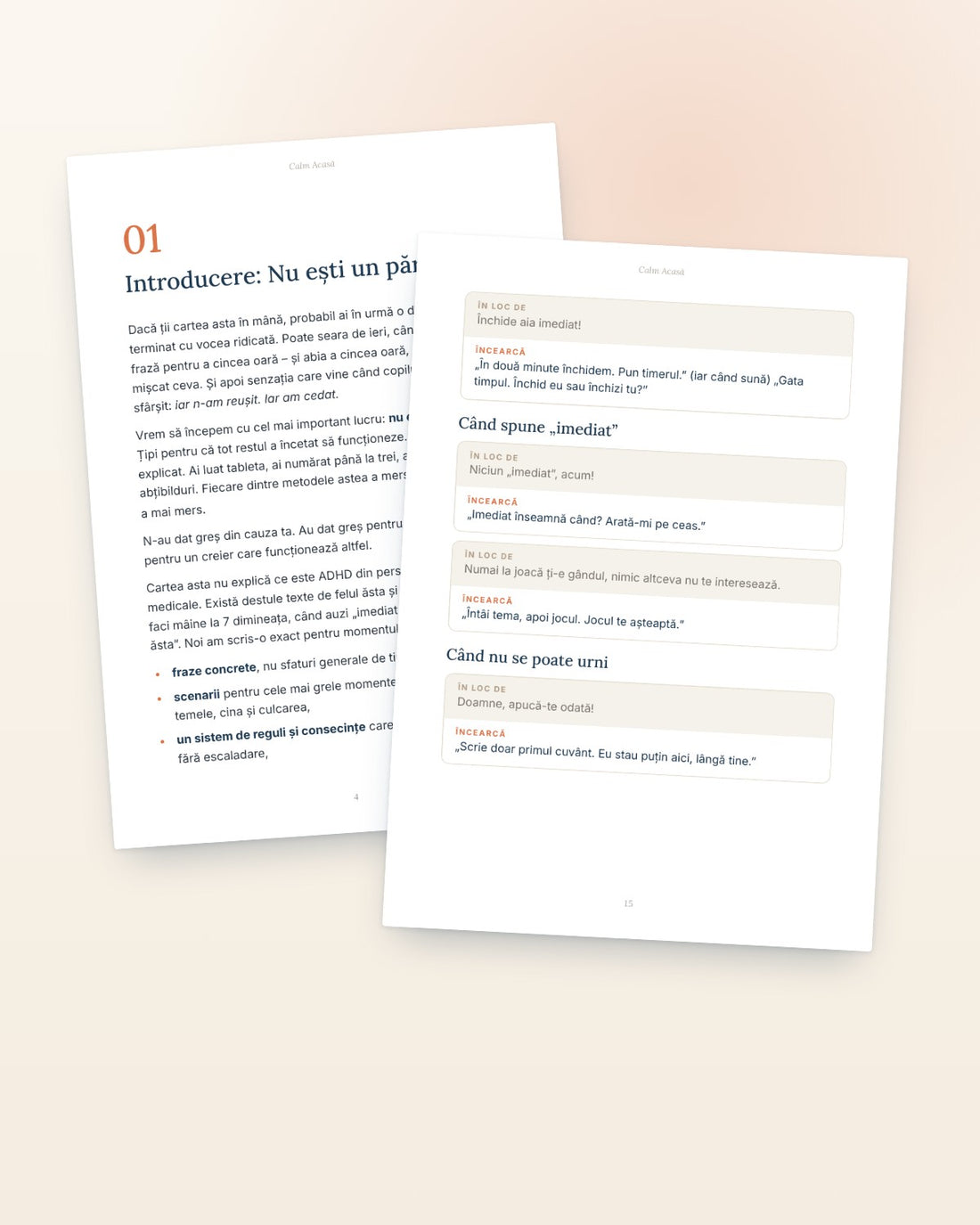 Pagini din ebookul Copilul cu ADHD fără țipete și pedepse
