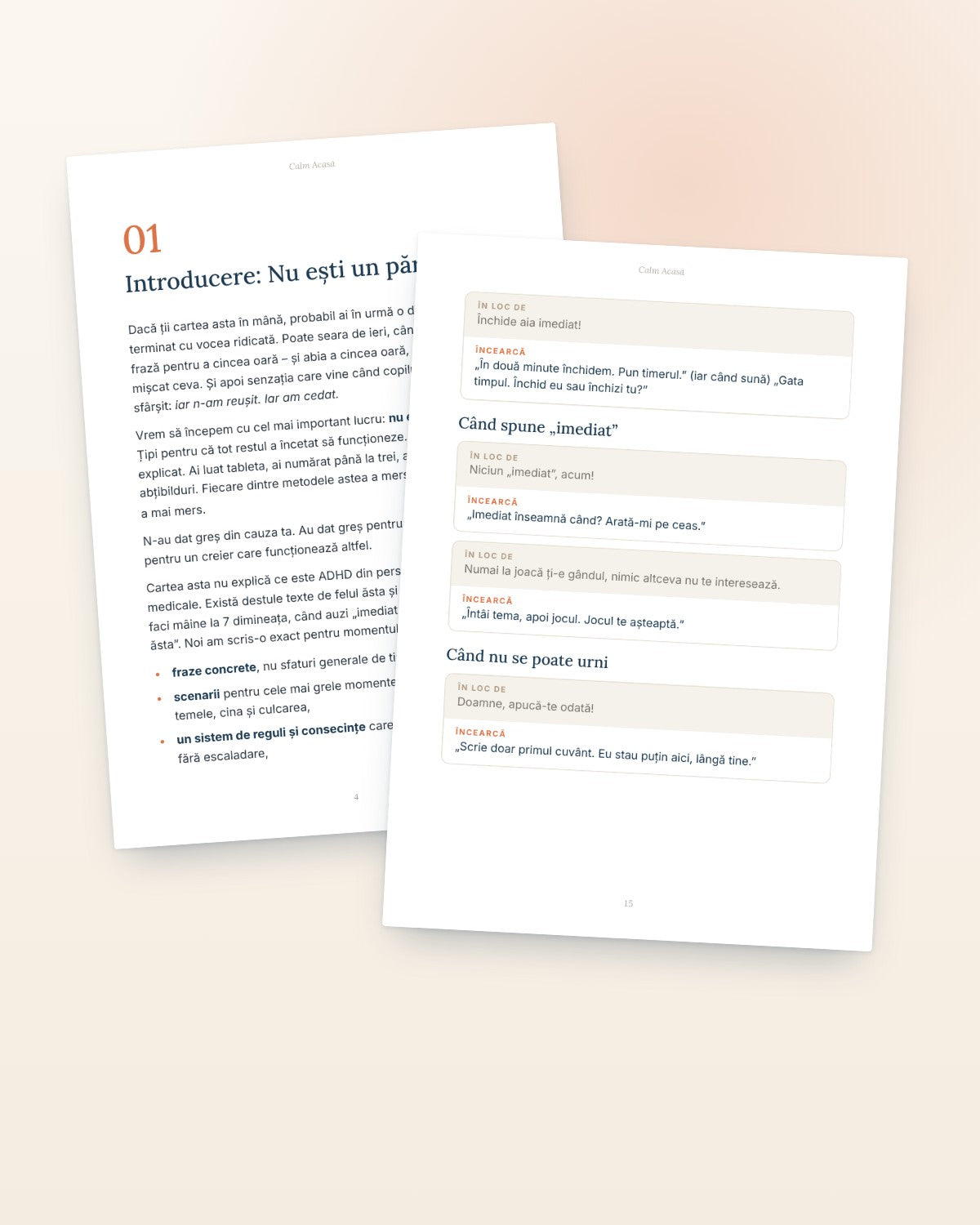 Pagini din ebookul Copilul cu ADHD fără țipete și pedepse